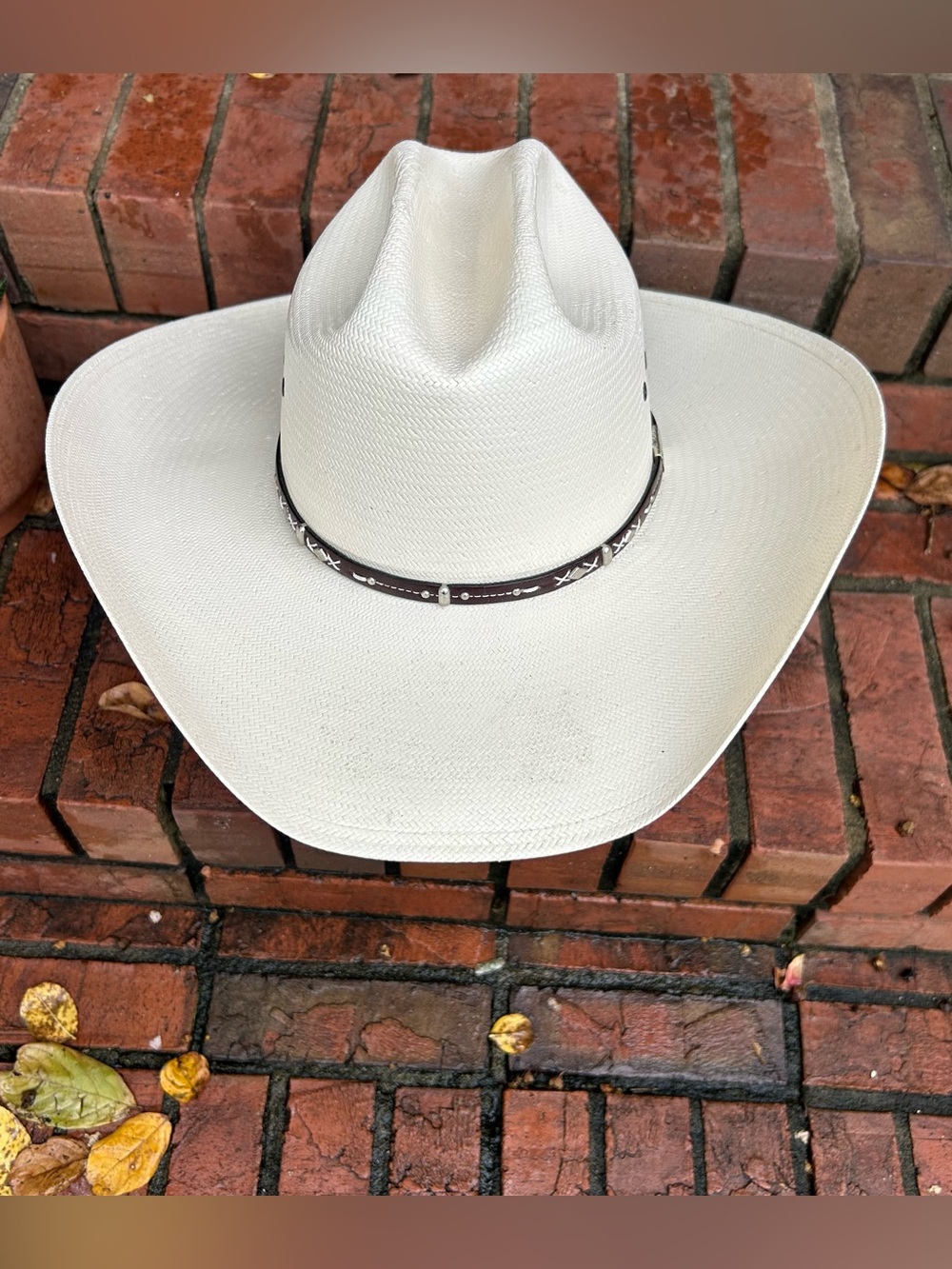 RESISTOL George Strait Cowboy Hat